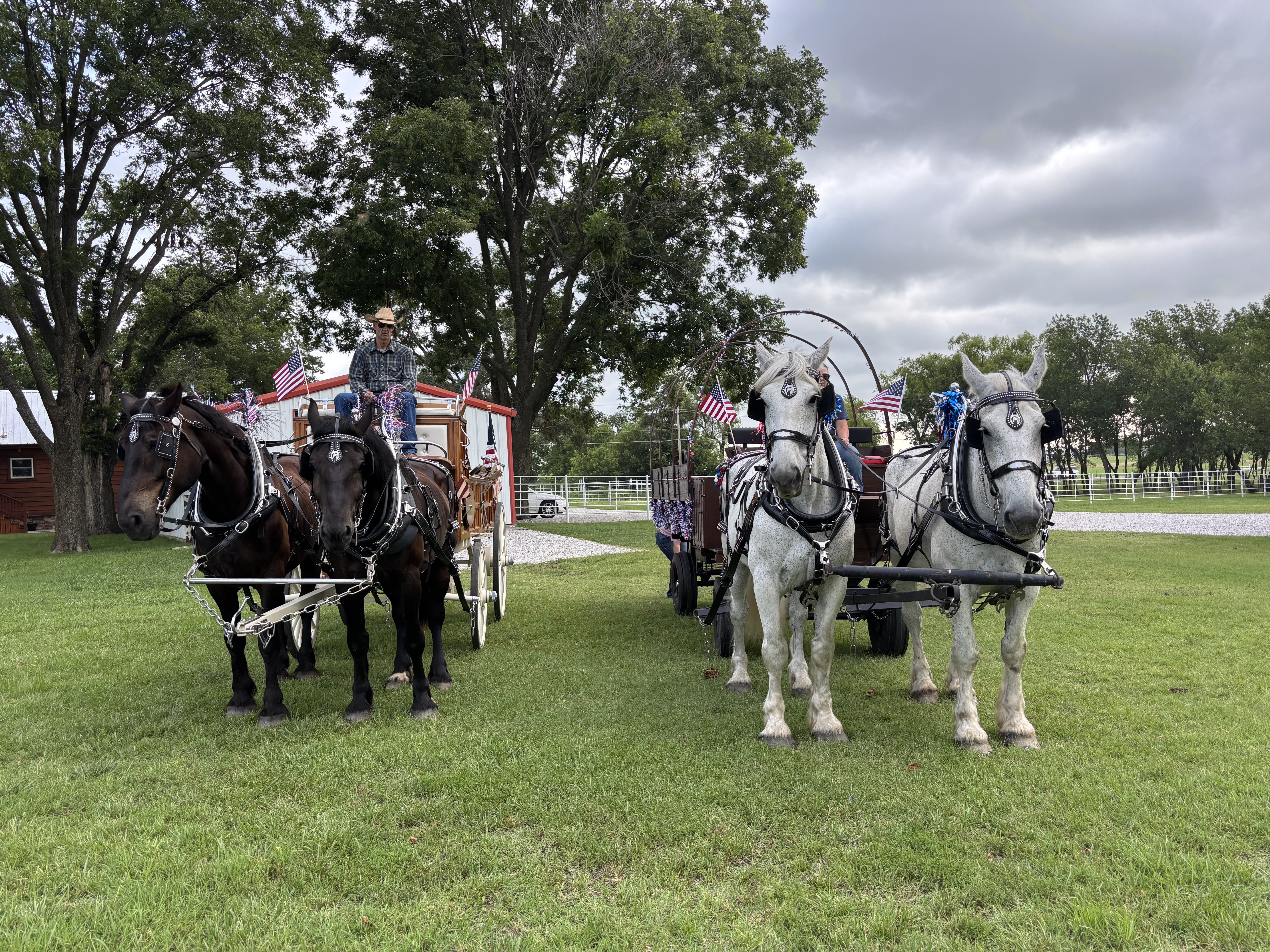 Carriage Rides