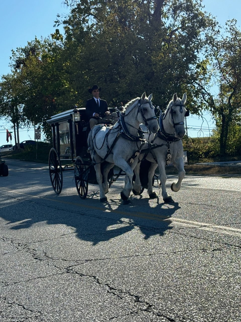Carriage Rides